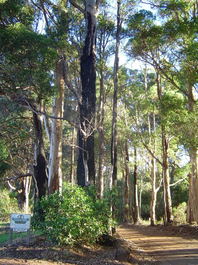 דנמארק Kangaroo Valley Cottage מראה חיצוני תמונה